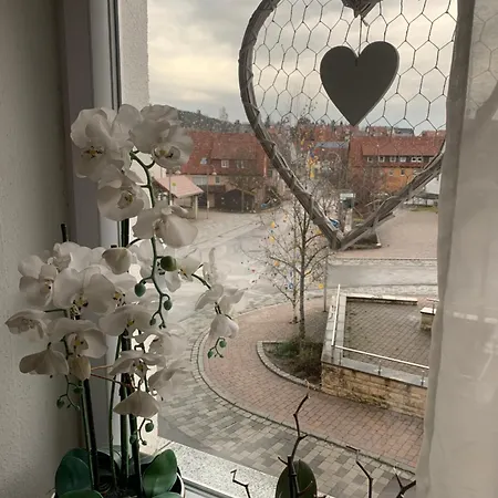 Zur Sonnenalb Bed and breakfast